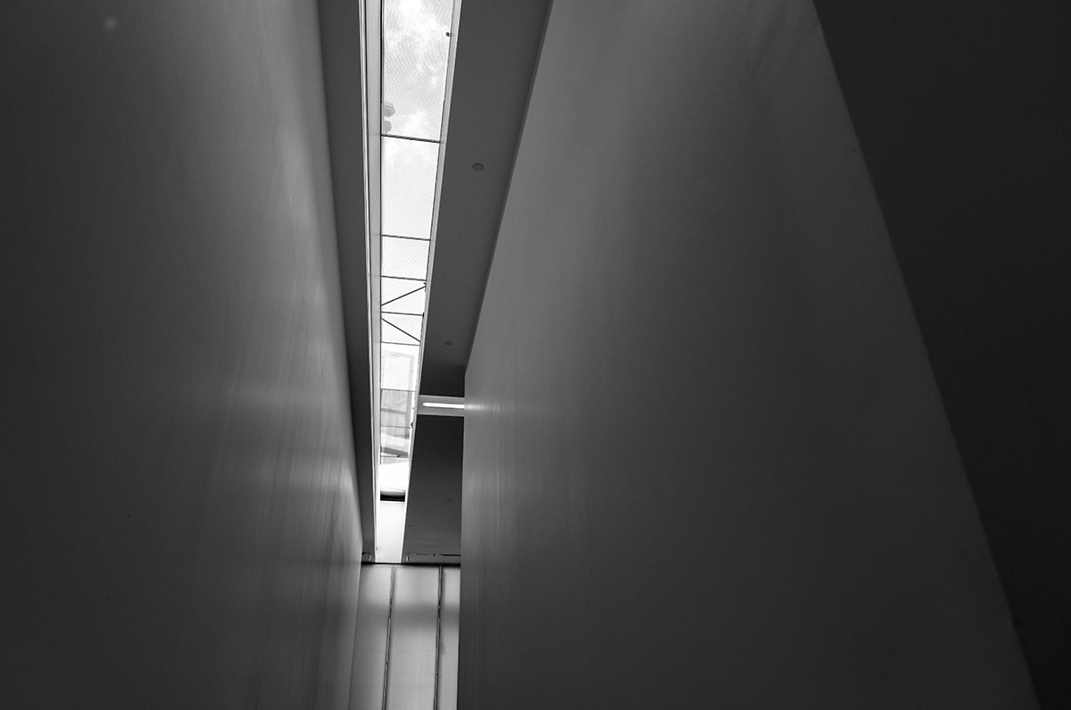 【题干】1.  A rescue worker risked